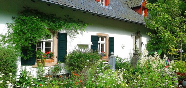 4 legjobb ingyenes kerttervező program