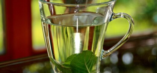 karamellás mentaszörp házilag