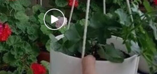 Virágtartó készítése 5 perc alatt