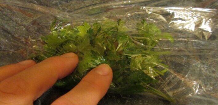 Fűszerek lefagyasztása