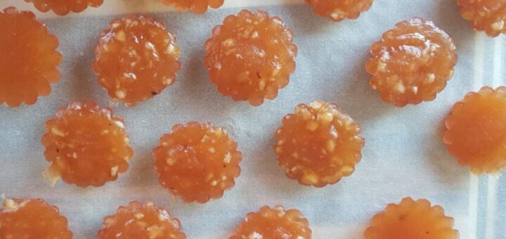 birsalmasajt mikróban