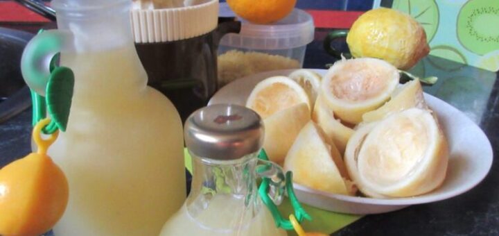 biocitrom felhasználása