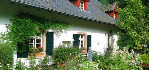 A vadon kertje film igaz történeten alapuló romantikus film