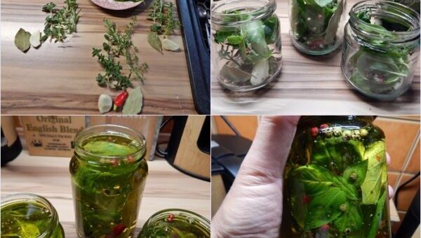 fűszerolaj készítése házilag