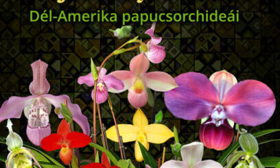 orchidea és bromélia kiállítás
