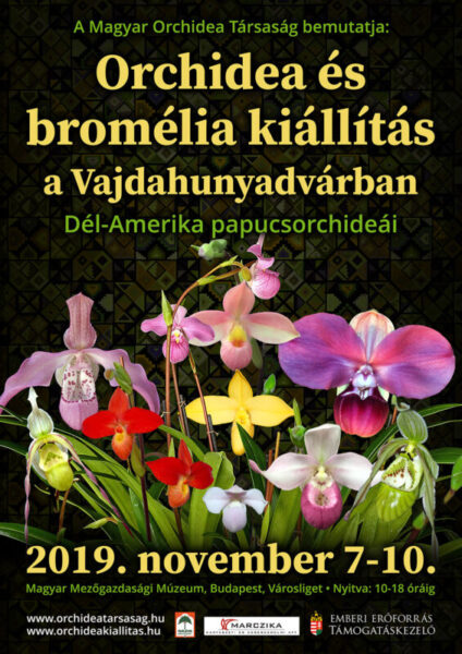 orchidea és bromélia kiállítás