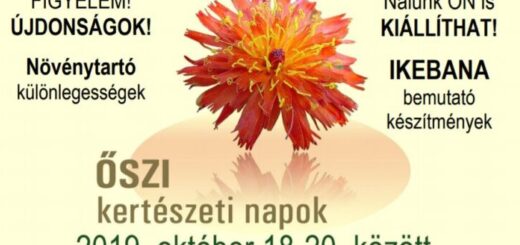 őszi kertészeti napok 2019