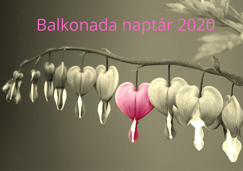 Balkonada naptár 2020