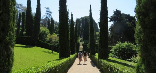 Szent Klotild kertek