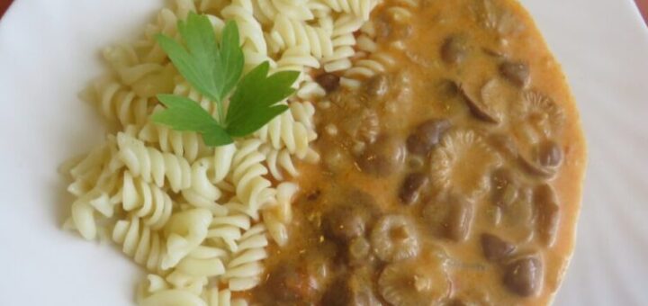 gombapörkölt tejfölösen