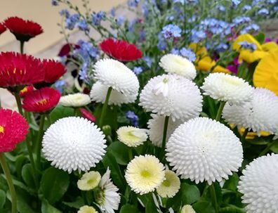 Balkonada naptár 2020 áprilisi fotói