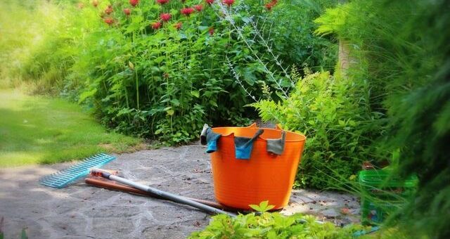 természetes növényvédőszerek és tápanyagok