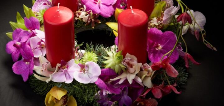 adventi koszorú orchideával