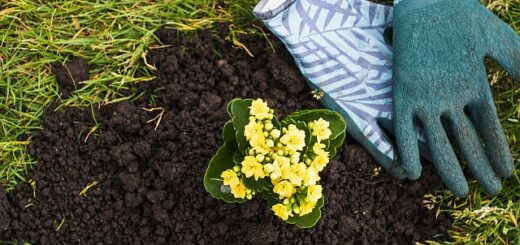 munkavédelmi kesztyűt