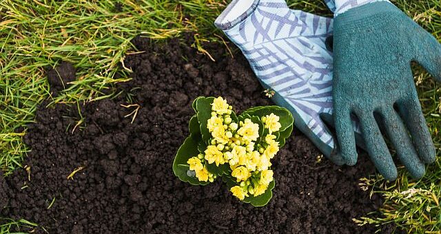 munkavédelmi kesztyűt