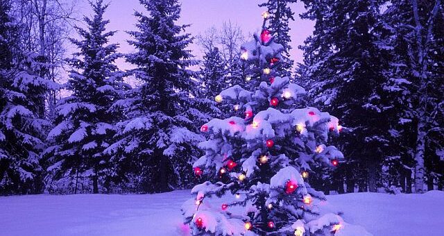 Karácsony és a fengsuj