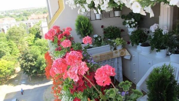 balkonszezon - balkontervezés