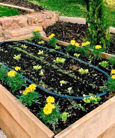 bioszemléletű kertészkedés - Magaságyás készítés
