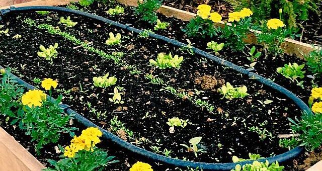 Magaságyás készítés