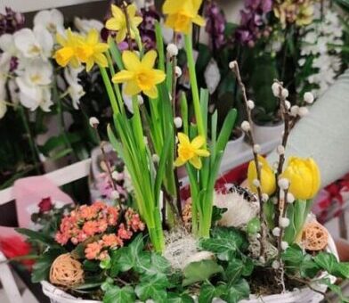 húsvéti dekoráció virágai