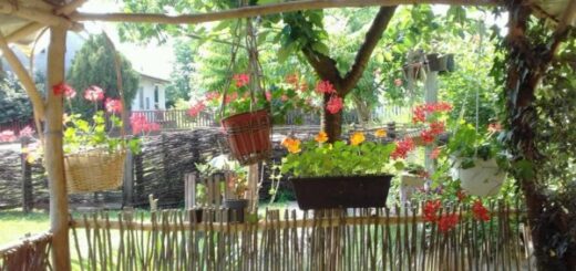 vesszőből fon kerítés