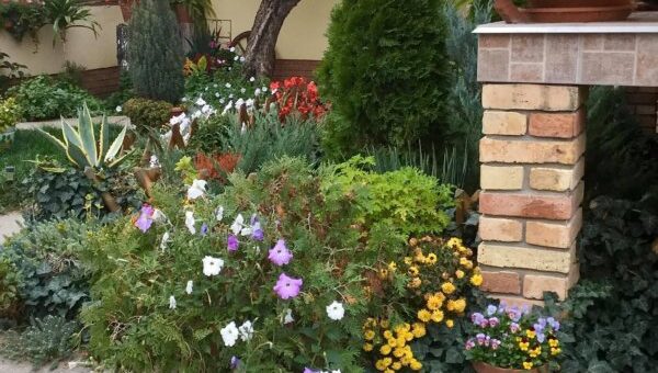 Kert aminek csodájára járnak