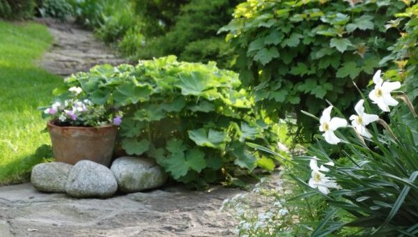 természtes kerti szegély ötletek