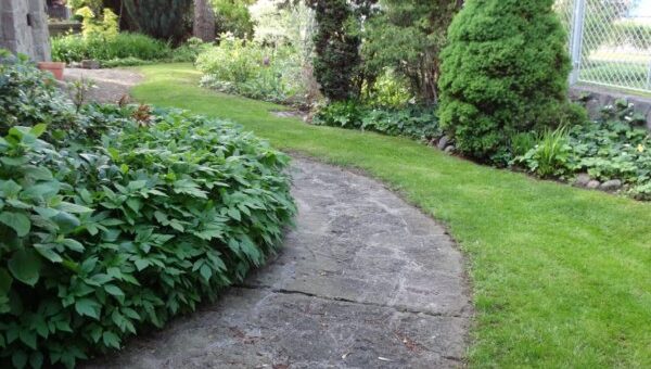 természtes kerti szegély ötletek