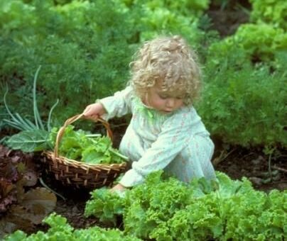 haszonnövények termesztése a ygerekeknek is jó móka