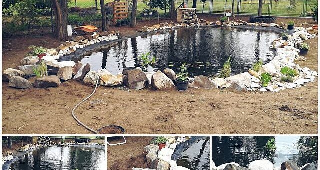 Kerti tó építése