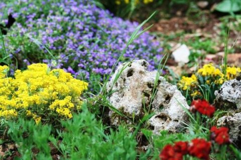 színes virágokkal teli sziklakert