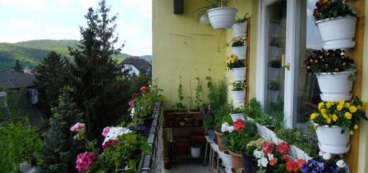 színpompás erkély