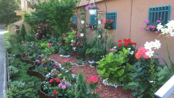 bámulatos mesekertet varázsoltak a panelrengetegbe a lelkes kertbarátok.