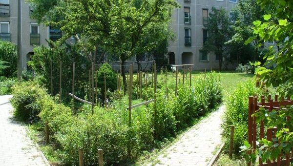 Édenkert a betonrengetegben