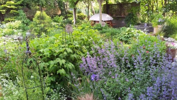 pihenő a kerti tónál