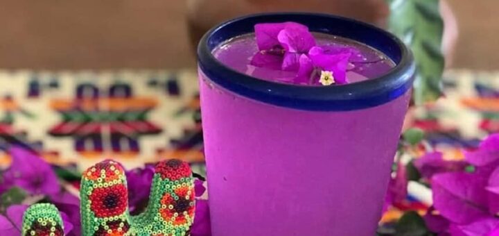 Bougainvillea limonádé receptje