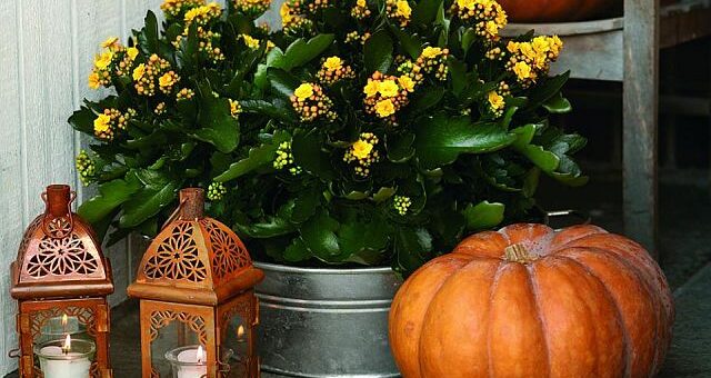 virágos őszi balkon