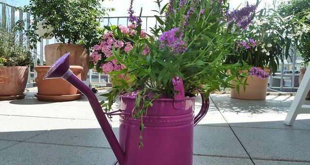 Fagyérzékeny növények téli védelme