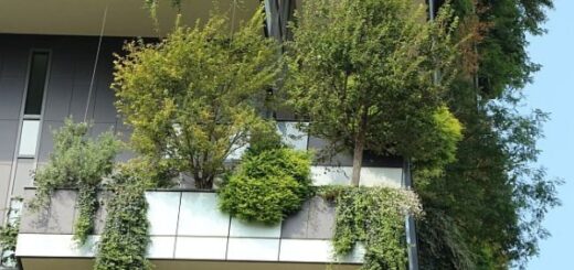 Bosco Verticale – Függőleges erdő Milánóban