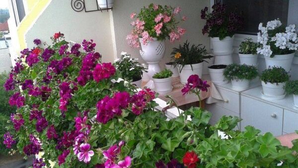 Virágos Magyarországért pályázat 2021