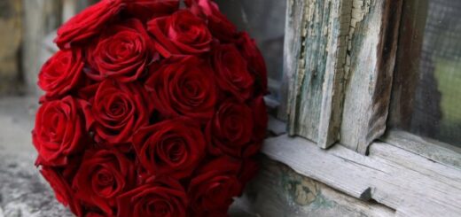 vörösrózsa csokor