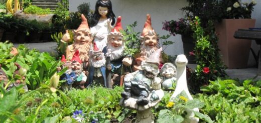 Hófehérke és hét kerti törpe a kertben