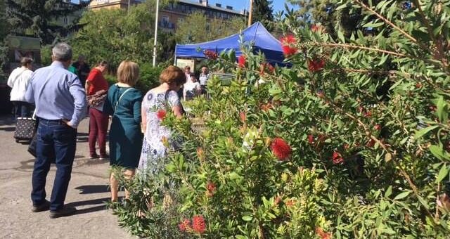 Tavaszkert kiállítás