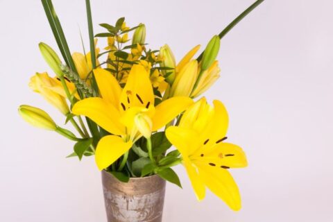 sárga liliomok vázában