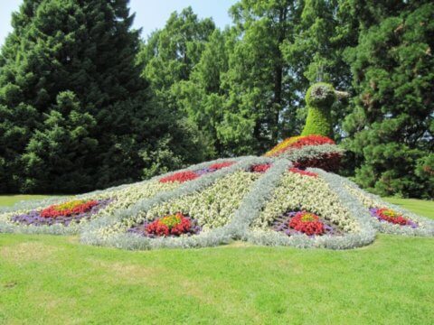 Mainau virágsziget