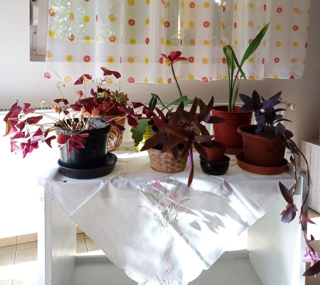 ilyen-volt-a-9-balkonada-n-v-nycsere-s-tal-lkoz-balkonada