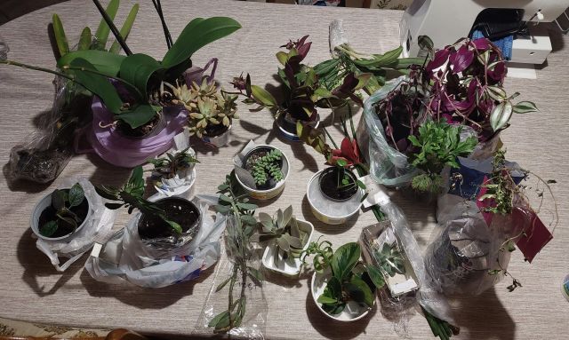 ilyen-volt-a-9-balkonada-n-v-nycsere-s-tal-lkoz-balkonada