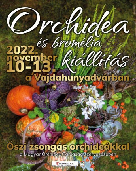 orchidea kiállítás 2022 meghívója