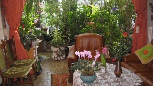 télikert a lakásban