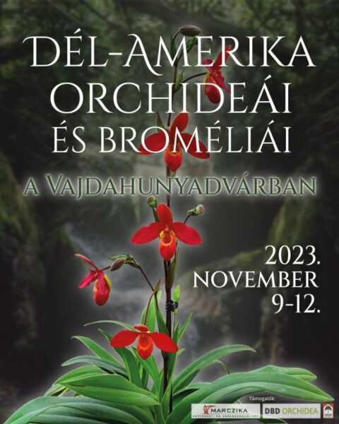 Dél-Amerika orchideái és broméliái